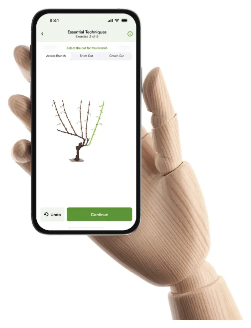 Interactive pruning simulations screen
